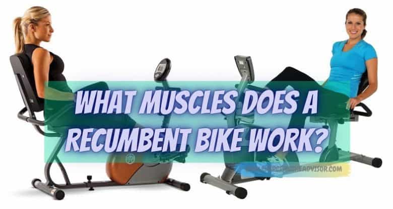 What Muscles Does a Recumbent Bike Work