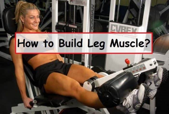 How to Build Leg Muscle