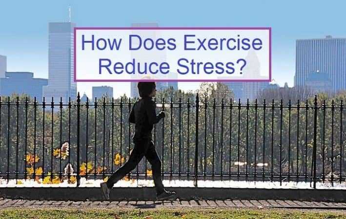 How Does Exercise reduce stress